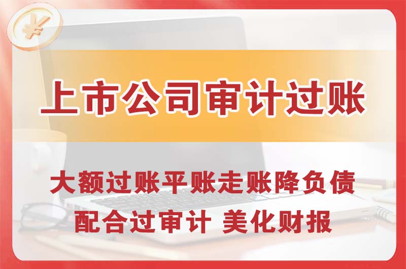 廉江上市公司审计过账